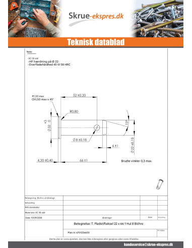 1 x Akse Stift perforeret fladt hoved 22X66HULL...