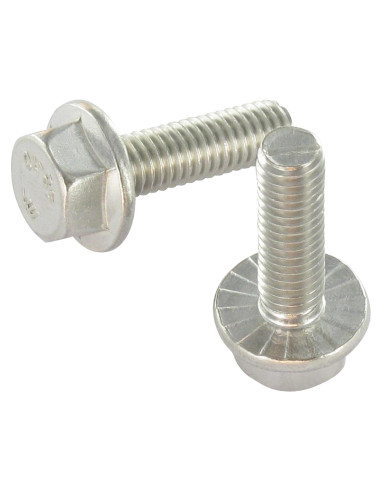 1 x Vis m-hastighed Sekskantet hoved Flange med...