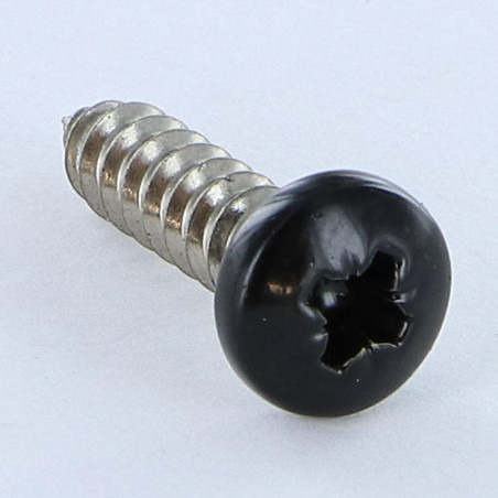 1 x Gevindvalse skrue Rustfrit stål A2 bred kuppelformet hoved Pozi 4,8X19 RAL9005 dyb sort