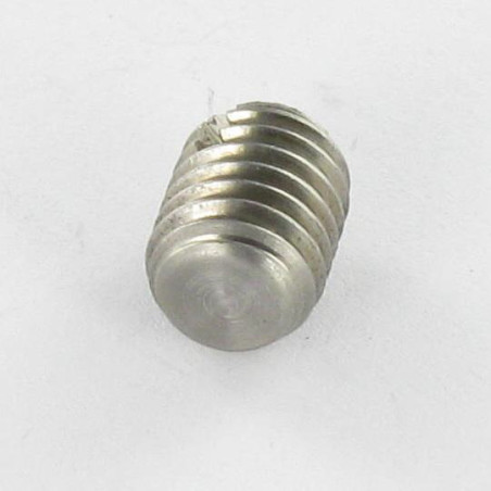 1 x Vis m-hastighed uden hoved kærv Cylindrisk ende flad M4X6 Rustfrit stål A2