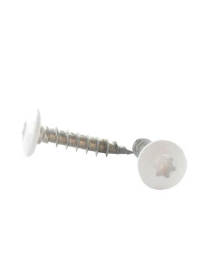 Skrue hængsel 7X40 Gevind 38 T30 Rustfrit stål A2 RAL9010...