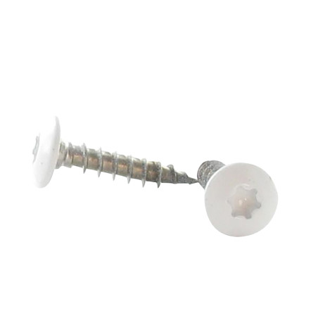 1 x Skrue hængsel 7X40 Gevind 38 T30 Rustfrit stål A2 RAL9010 ren hvid 80% BRILLI