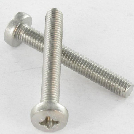 1 x Vis m-hastighed bred kuppelformet hoved Pozi PZ8 M5X20 Rustfrit stål A4