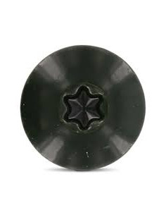 Facade skruer T20 4,8X38 Hoveddiameter 12.3 Rustfrit stål... 2
