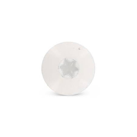 1 x Facade skruer T20 4,8X32 Hoveddiameter 12.3 Rustfrit stål A2 RAL9010 ren hvid