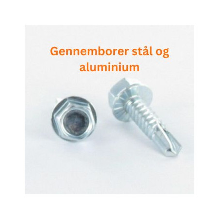 1 x Selvborende skrue Sekskantet hoved 4,8X25 Rustfrit stål AISI 410