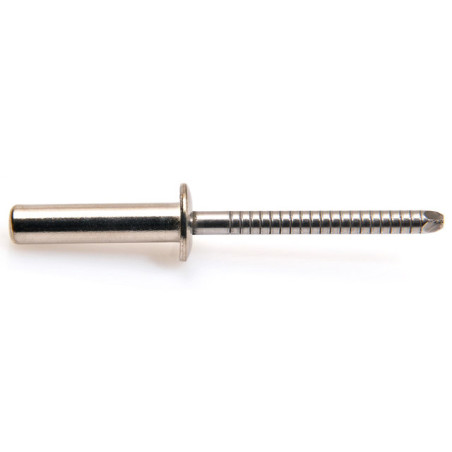1 x Nitte Forseglet GOSTOP MINOX Standard rund hoved 3,2X12