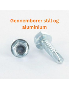 Selvborende skrue Sekskantet hoved 4,8X19 Rustfrit stål... 2