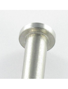 Stift fladt hoved 12X75 perforeret 3 Rustfrit stål A4 2