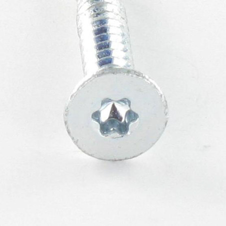 1 x Selvborende skrue Bimetal forsænket hoved med takker T25 4,8X38
