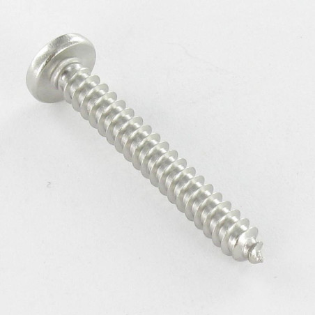 1 x Gevindvalse skrue bred kuppelformet hoved Pozi 2,9X6,4 Rustfrit stål A4