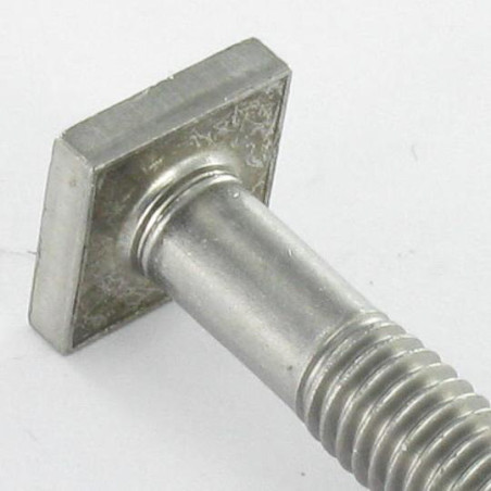 1 x Vis m-hastighed M6X50 hoved Firkantet 10X10 EP4 Rustfrit stål A2
