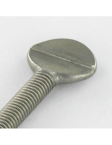 1 x Skrue VIOLIN M5X16 Rustfrit stål A2
