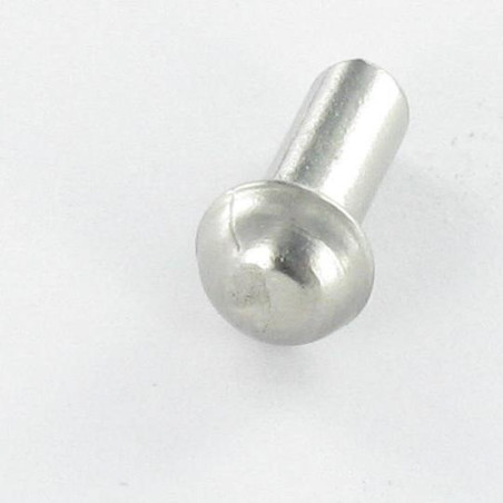 1 x Massiv nitte Rustfrit stål rundt hoved 4X10