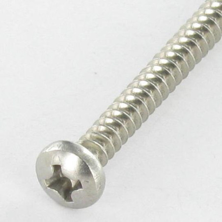 1 x Gevindvalse skrue bred kuppelformet hoved phillips 4,2X22 Rustfrit stål A2