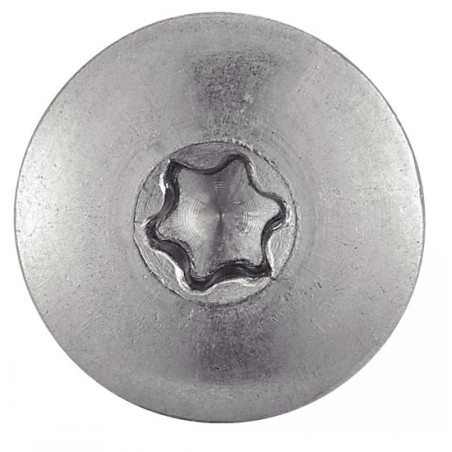 1 x Facade skruer T20 4,8X50 Hoveddiameter 12.3 Rustfrit stål A2