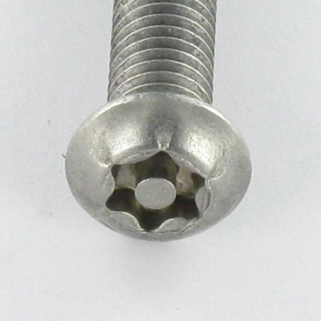 1 x Vis m-hastighed Rustfrit stål A2 Ukrænkelig pan hoved TORX T45 med tap M10X70