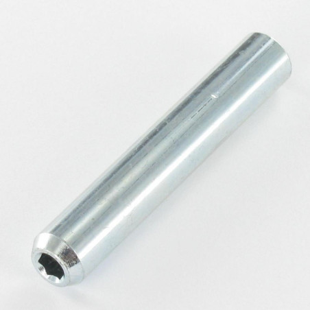 1 x Stift cylindrisk gevind 9X53 Gevind M6X27 Sekskantet fatning 4 elforzinket stål
