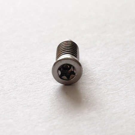 1 x Vis m-hastighed forsænket hoved T15 M5X13.5 Rustfrit stål A2