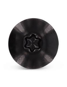 Facade skruer T20 4,8X38 Hoveddiameter 12.3 Rustfrit stål... 2