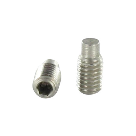 1 x Vis m-hastighed Rustfrit stål A2 uden sekskantet fatning M4X10 Sekskantet fatning 2 cylindrisk ende