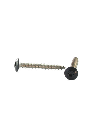 1 x Skrue hængsel 6X40 Gevind 38 T30 Rustfrit...