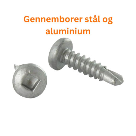 1 x Selvborende skrue panhoved Firkantet 4,8X25 Rustfrit stål AISI 410