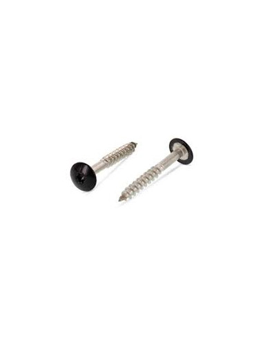1 x Facade skruer T20 5,5X38 Hoveddiameter 12.3...