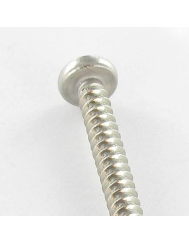 1 x Gevindvalse skrue stort cylindrisk pan...