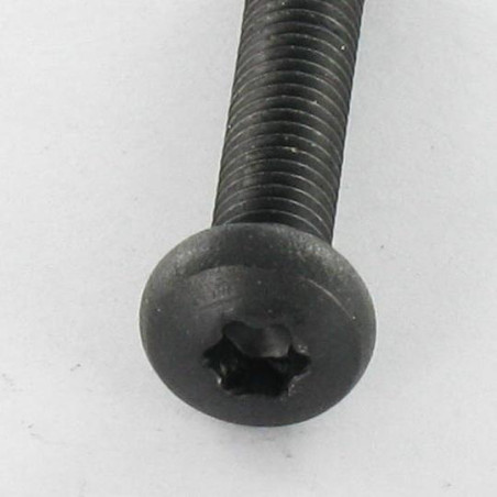 1 x Vis m-hastighed bred kuppelformet hoved Rustfrit stål A2 M5X25 Sort T20