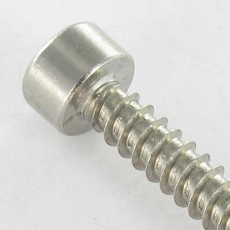 1 x Gevindvalse skrue Fatningshoved Rustfrit stål A2 4,8X38