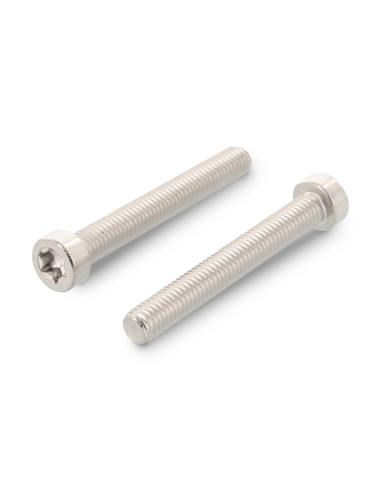 1 x Vis m-hastighed panhoved Flad TORX T45...