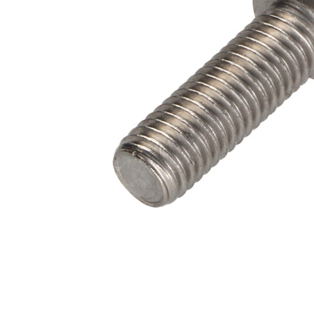1 x Vis m-hastighed panhoved T50 Rustfrit stål A2 M10X30 Fuld trÃ¥d