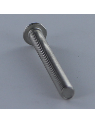 1 x Vis m-hastighed hoved Pan hoved T50 M10X120...