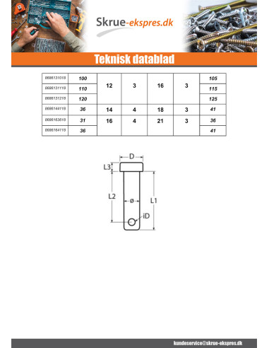 1 x Stift fladt hoved 10X30 perforeret 3...
