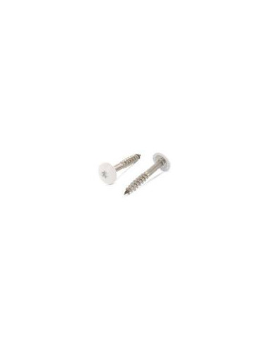 1 x Facade skruer T20 4,8X25 Hoveddiameter 12.3...