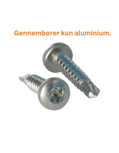 1 x Selvborende skrue panhoved T20 4,2X32...