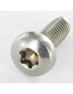 Elvskærende skrue panhoved T30 M6X30 Rustfrit stål A2 2