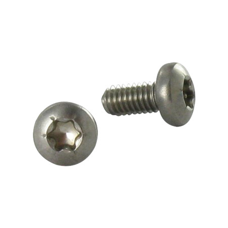 1 x Elvskærende skrue Rustfrit stål A2 panhoved TORX 4X8 T20