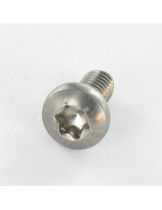 Elvskærende skrue Rustfrit stål A2 panhoved TORX 4X8 T20 2