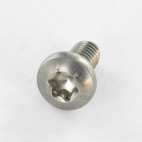 1 x Elvskærende skrue Rustfrit stål A2 panhoved TORX 4X8 T20