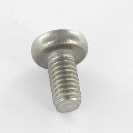 1 x Elvskærende skrue Rustfrit stål A2 panhoved TORX 4X8 T20