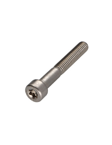1 x Vis m-hastighed panhoved TORX T45 Rustfrit...