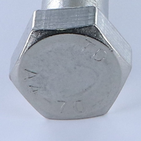 1 x Bolt deltråd Sekskantet hoved M22X100 Rustfrit stål A4