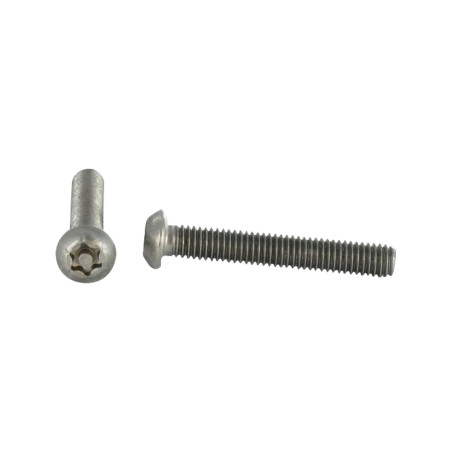 1 x Vis m-hastighed Rustfrit stål A2 Ukrænkelig pan hoved TORX T45 med tap M10X30