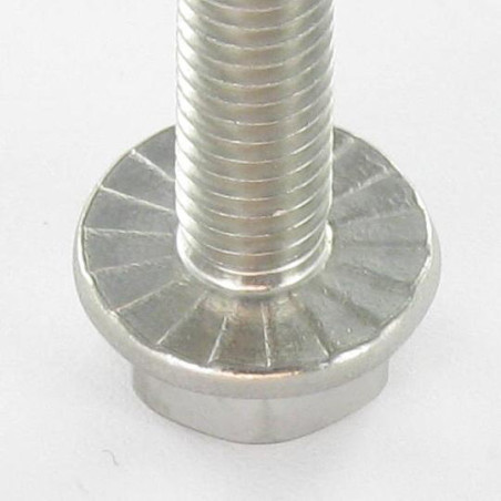 1 x Vis m-hastighed Sekskantet hoved Flange med hakket krave M8X40 Rustfrit stål A2