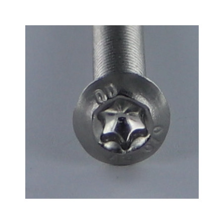 1 x Vis m-hastighed hoved Pan hoved T10 M3X30 Fuld trÃ¥d Rustfrit stål A2 mikroskruer