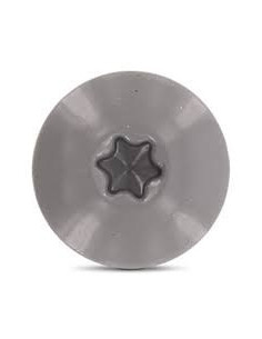 Facade skruer T20 5,5X38 Hoveddiameter 12.3 Rustfrit stål... 2
