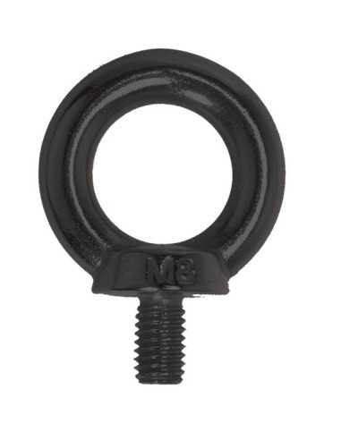 1 x Skrue Hævering M6X11 Rustfrit stål A4 Sort