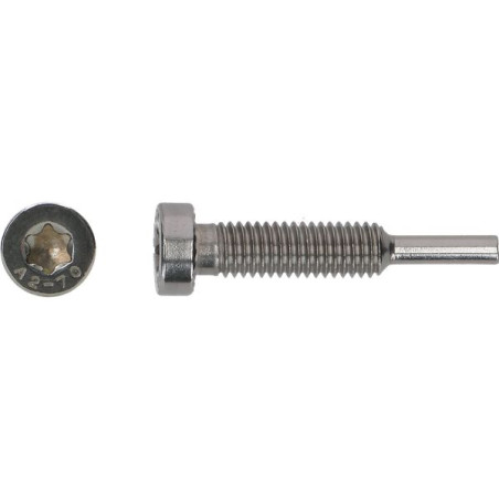 1 x Skrue Tang SOLAR M8X43 Rustfrit stål A2